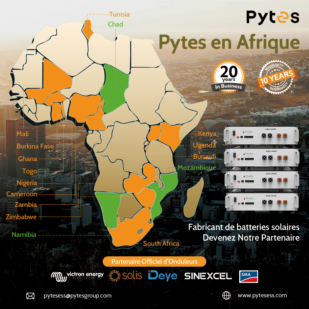 Partenariat PYTES Afrique: Ensemble pour un Avenir Vert